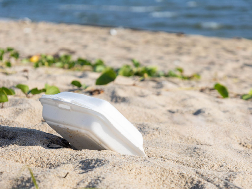 envase de plástico contaminando playa
